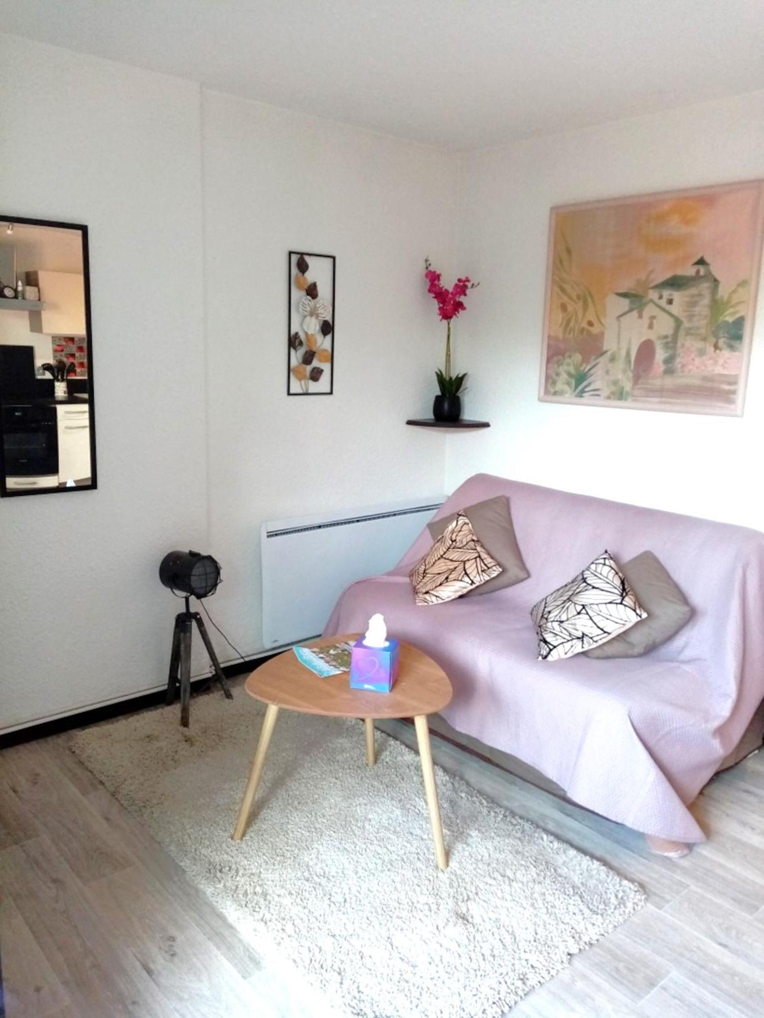 Apartamento Agreable T2 Calme - Terrasse 20m2 - Animaux Bienvenus Cabourg