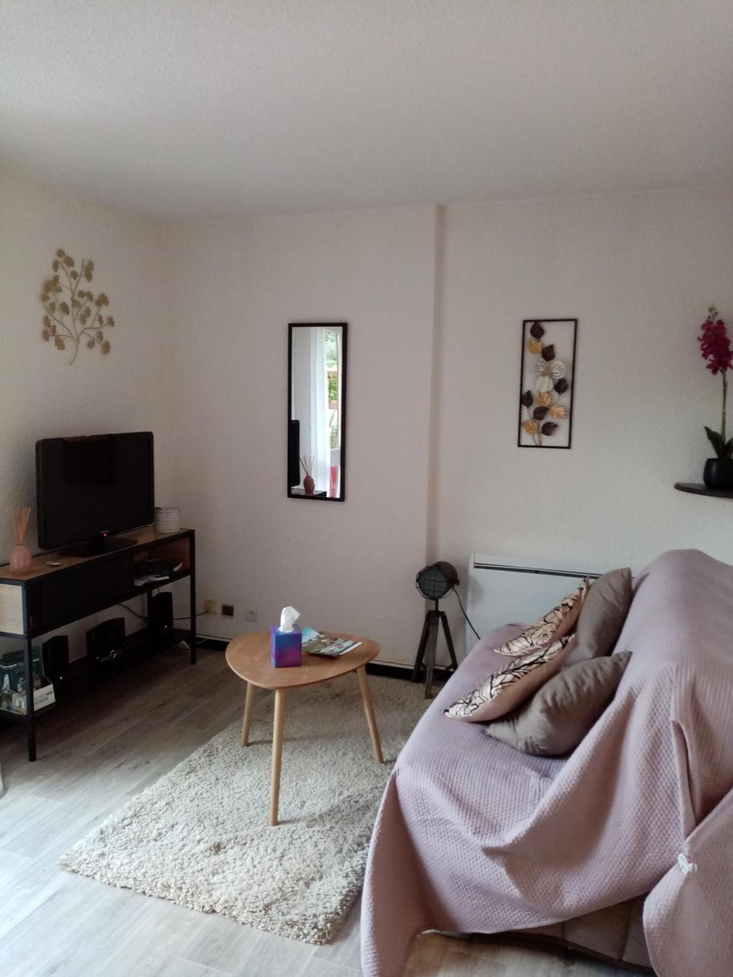 Agreable T2 Calme - Terrasse 20m2 - Animaux Bienvenus Apartamento